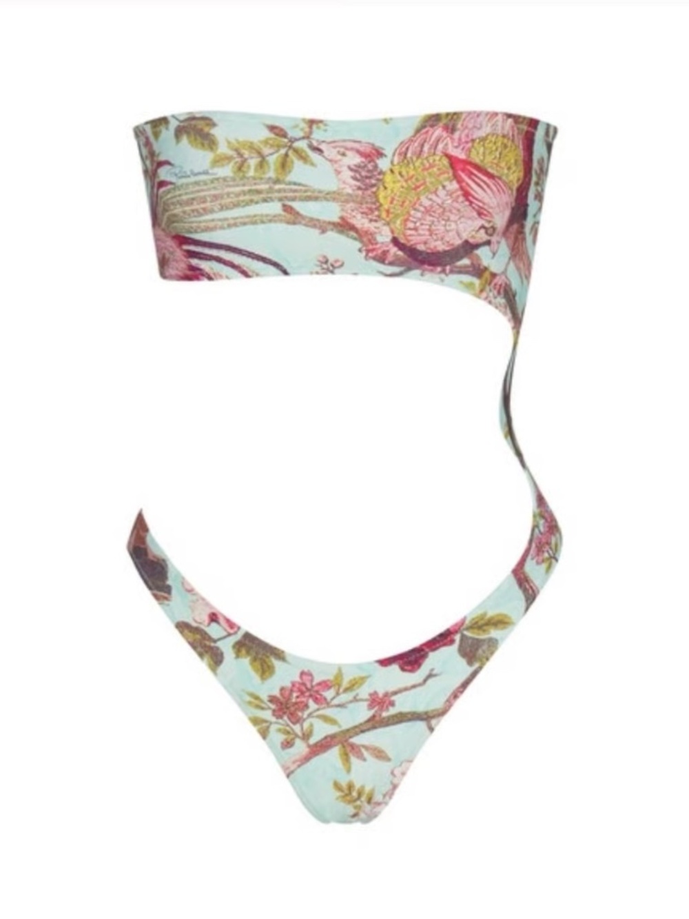 RARE NWT ROBERTO‎ CAVALLI X SKIMS STRAPLESS MONOKINI IN FAGIANELLA PRINT SIZE M - Picture 4 of 8